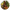Aromáticos