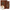 DECANTE ASAD BOURBON LATTAFA - 5ML