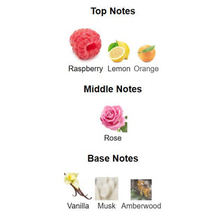 PERFUME YOUR TOUCH FOR WOMEN MAISON ALHAMBRA - 100ML