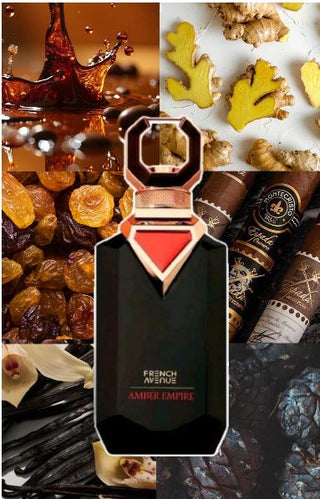 PERFUME AMBER EMPIRE FRENCH AVENUE - 100ML