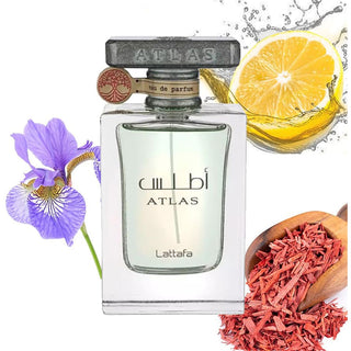 PERFUME ATLAS LATTAFA  - 100 ML