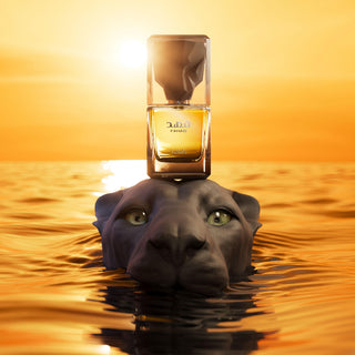 PERFUME FAHAD LATTAFA - 100 ML