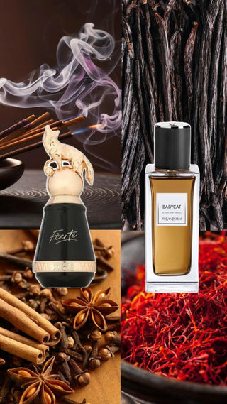 PERFUME FIERTE FRENCH AVENUE - 100ML