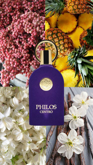 PERFUME PHILOS CENTRO MAISON ALHAMBRA - 100ML 
