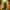 PERFUME REGENT MAISON ASRAR - 100ML